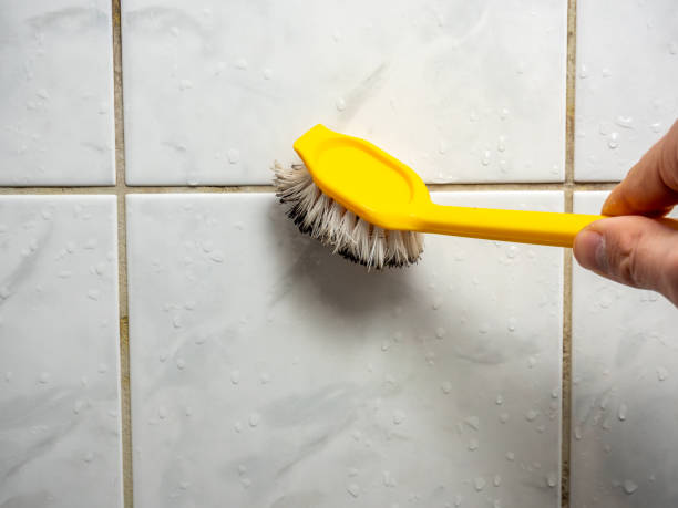 Best Mold Cleaning Services  in De Soto, KS