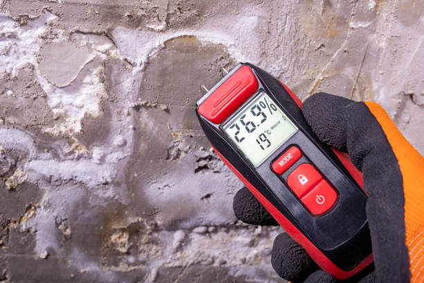 Best Toxic Mold Removal  in De Soto, KS