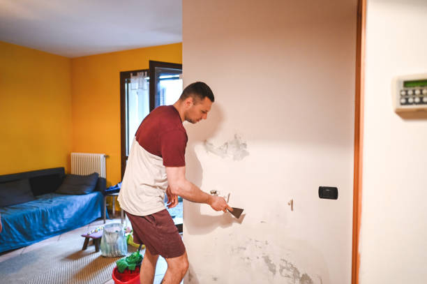 Reliable De Soto, KS Mold Removal Solutions